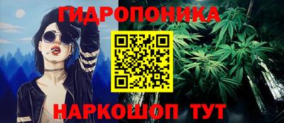 твердый Будённовск