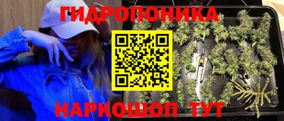 твердый Будённовск
