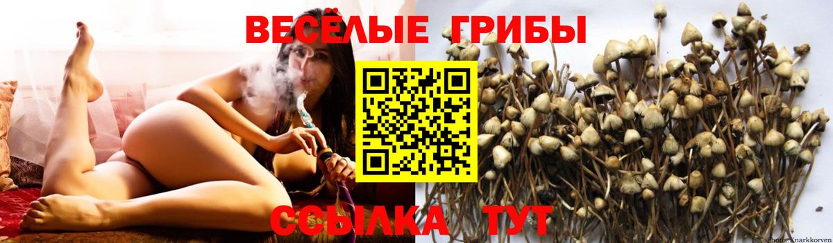 Светлоград  Псилоцибиновые грибы прущие грибы  Вход с VPN  где купить наркотик  Псилоцибиновые грибы Magic Shrooms 